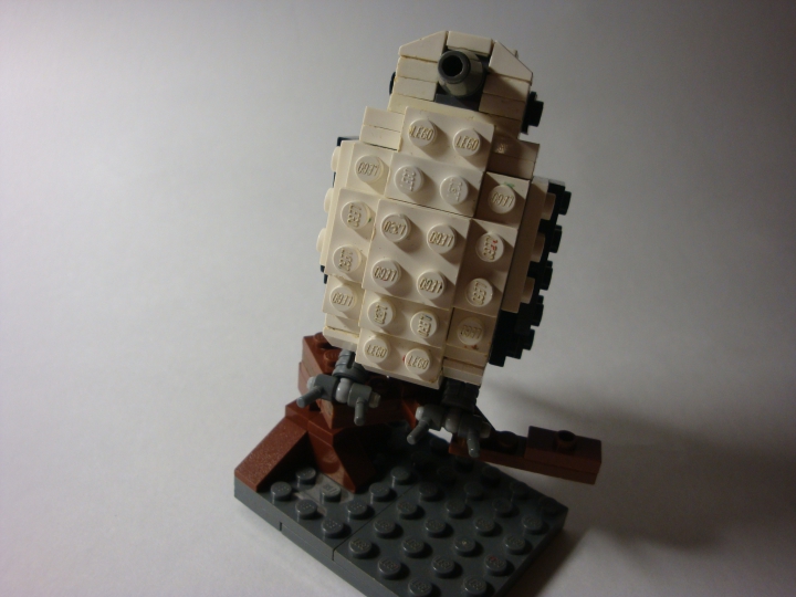 LEGO MOC - 16x16: Animals - Bird, just a bird: Вид спереди, так сказать, пузо.