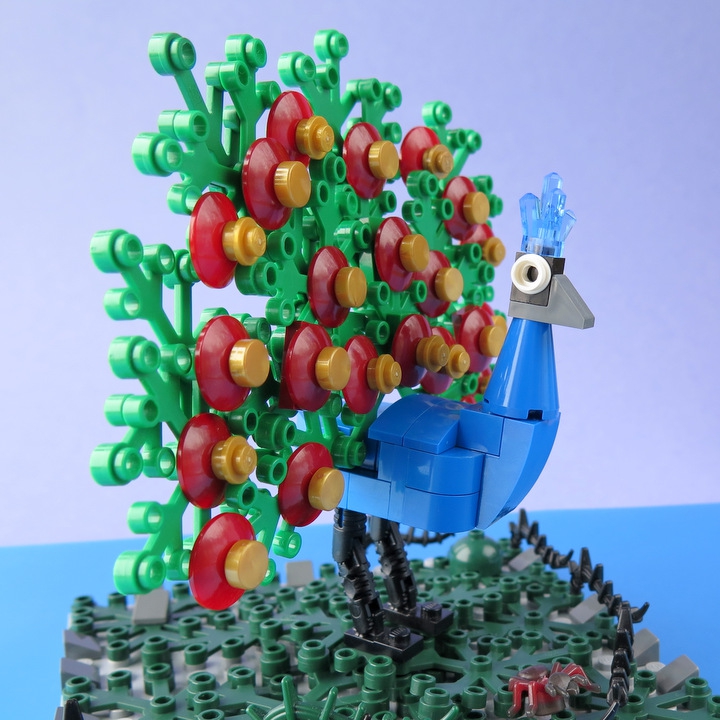 LEGO MOC - 16x16: Animals - Indian Peafowl