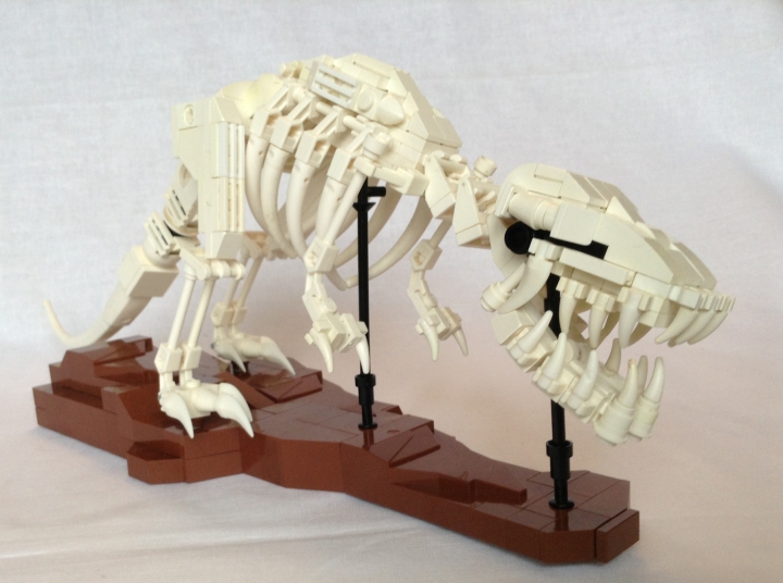 LEGO MOC - Jurassic World - A new exhibit in the city museum: Tyrannosaurus` forelimbs are too tiny in comparison with other such predators. In Horner`s opinion they were absolutely unable to capture prey.  Tyrannosaurus` teeth could crush bones, so the lizard could get maximum sustenance from the remains of dead animals.
