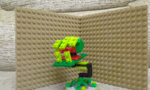 Венерина мухоловка 