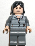 LEGO hp045 Sirius Black