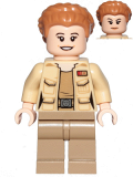 LEGO sw1048 Lieutenant Connix