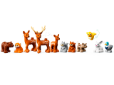 subtheme