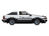 subtheme