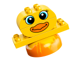 subtheme
