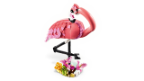 subtheme
