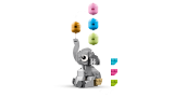 subtheme