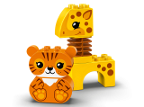 subtheme
