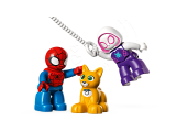 subtheme