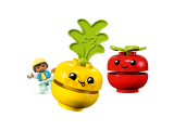 subtheme