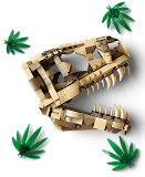 subtheme