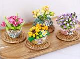 subtheme