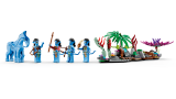 subtheme