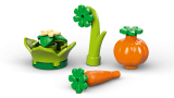 subtheme