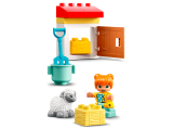 subtheme