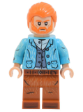 LEGO idea106 Vincent van Gogh