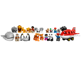 subtheme