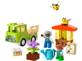 subtheme