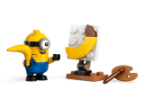 subtheme