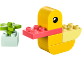 subtheme