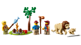 subtheme