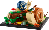 subtheme