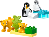 subtheme