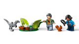 subtheme