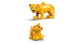 subtheme