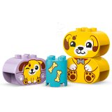 subtheme